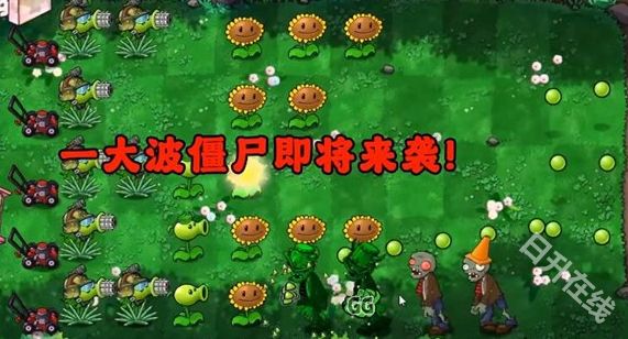 PVZ共生版