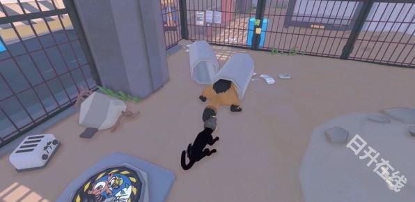 小猫咪大城市手机版