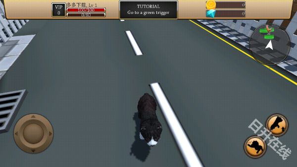 最新的ZOOM动物马