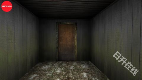 恐怖老奶奶2联机版