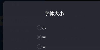 白夜浏览器TV版