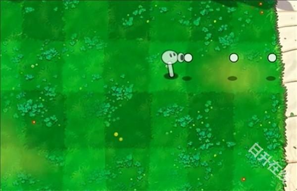 植物大战僵尸威化版