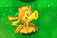 植物大战僵尸火影版手机版