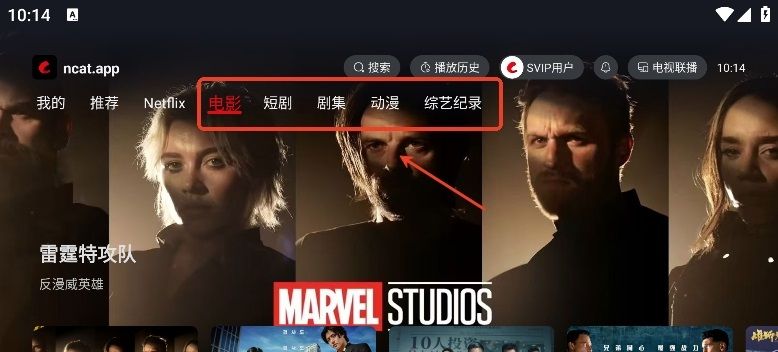 网飞猫TV版