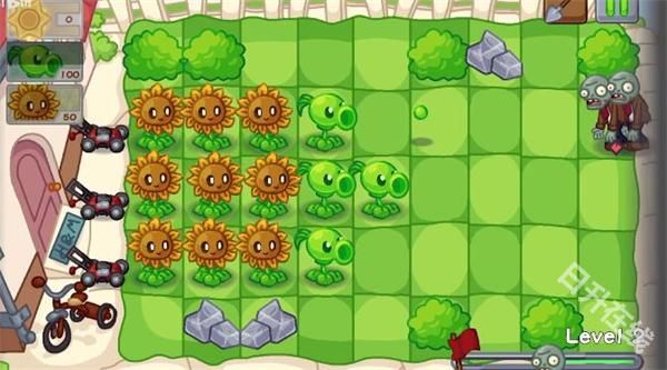 植物大战僵尸Dn版