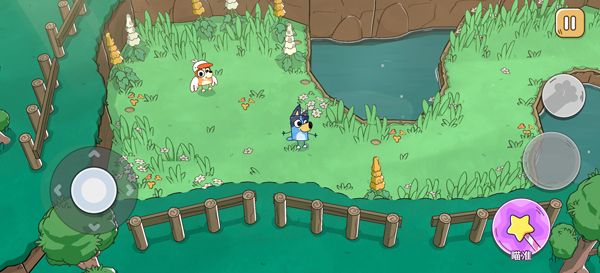 布鲁伊寻找金笔的冒险