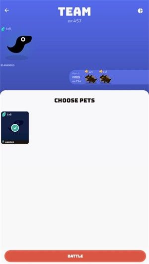 虚空宠物地下城