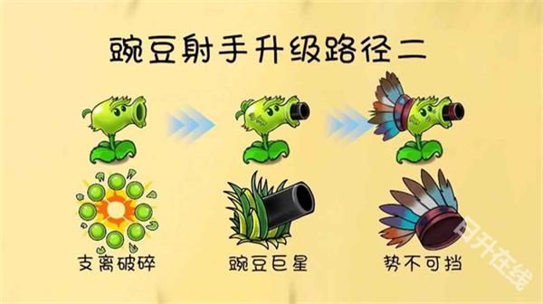 PVZ共生版