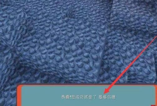 我的世界神奇宝贝