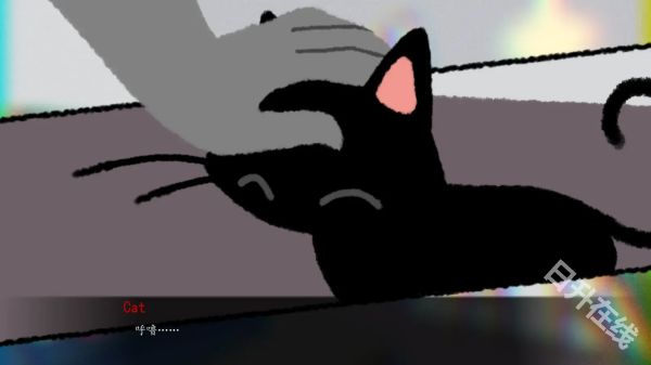 别带这只猫回家