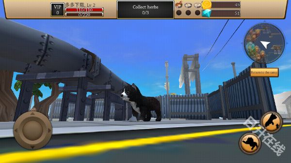 最新的ZOOM动物马