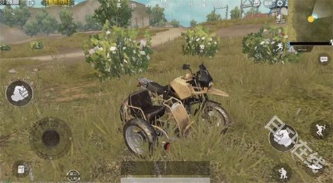 pubgmobile国际版