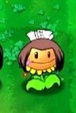 植物大战僵尸火影版手机版