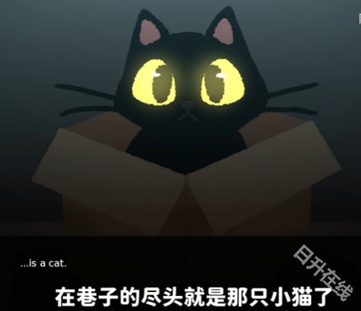 别带这只猫回家