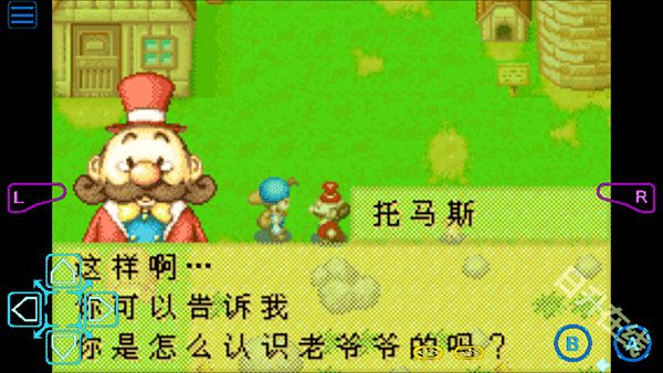 牧场物语矿石镇的伙伴们