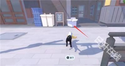 小猫咪大城市手机版