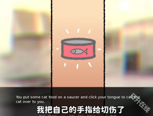 别带这只猫回家