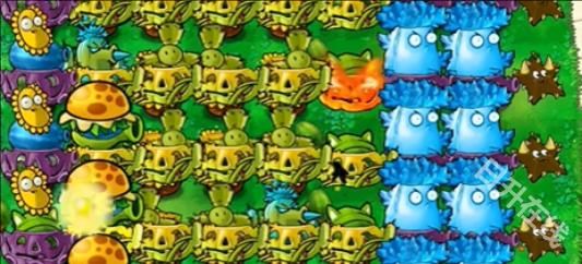 植物大战僵尸杂交版官方版