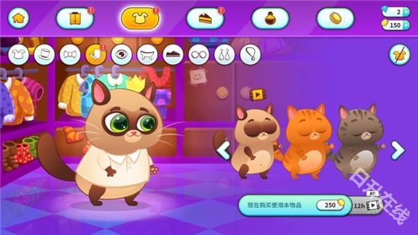 我的虚拟宠物猫