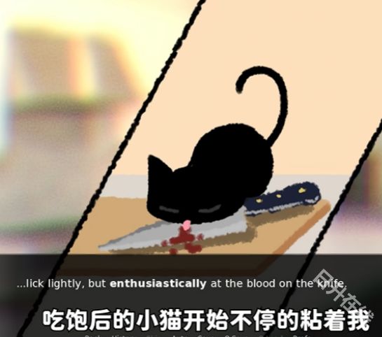 别带这只猫回家