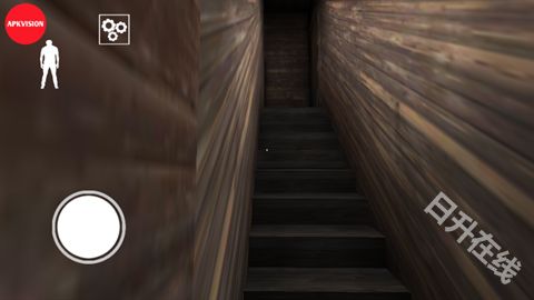 恐怖老奶奶2联机版