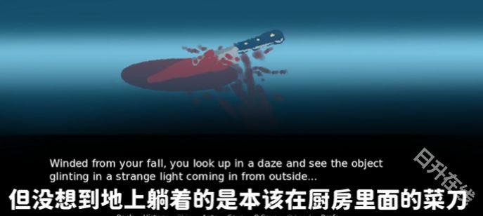 别带这只猫回家