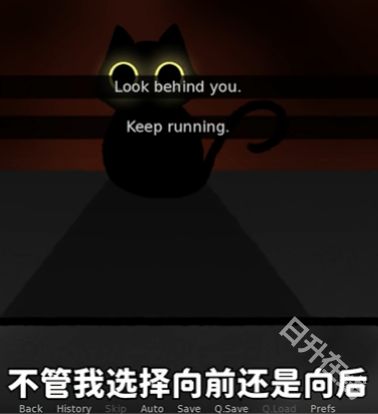 别带这只猫回家