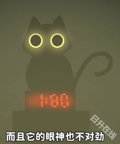 别带这只猫回家