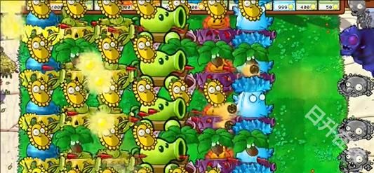 植物大战僵尸杂交版官方版