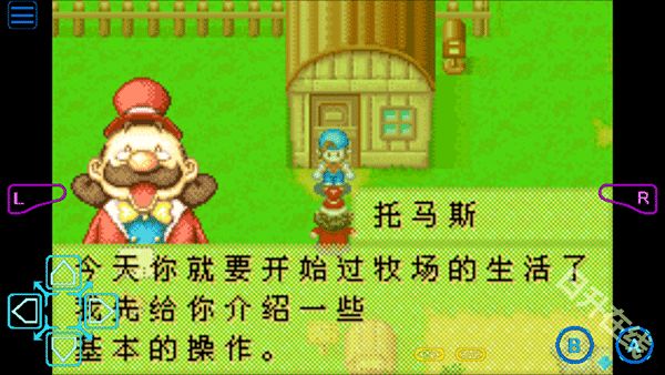 牧场物语矿石镇的伙伴们