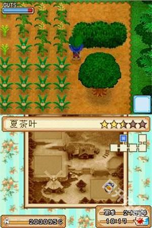 牧场物语风之集市手机版