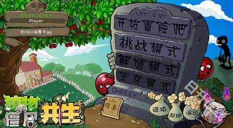 植物大战僵尸共生版
