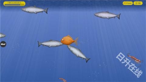 美味深蓝中文版