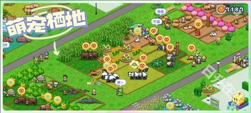 探险顽皮动物园