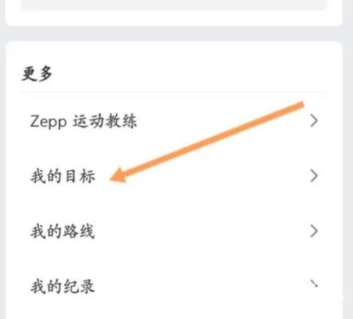 zepp