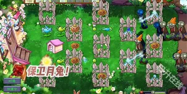 植物大战僵尸共生版手机版