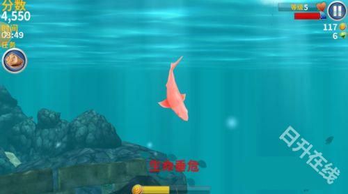 饥饿鲨进化正版