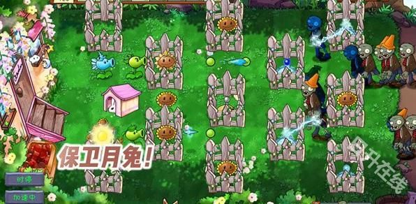 植物大战僵尸共生版