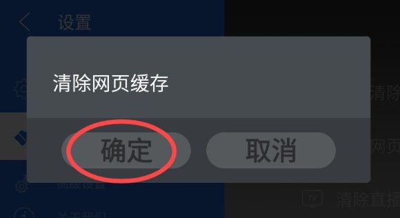 白夜浏览器TV版