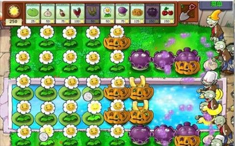 植物大战僵尸c支线版