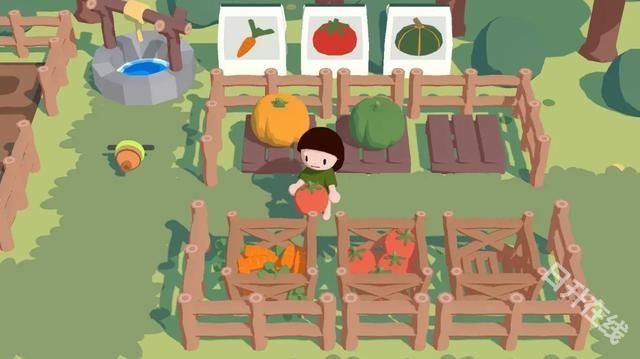 舒舒服服小岛时光