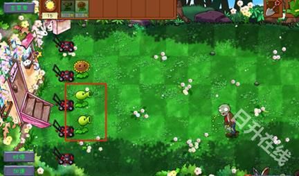 植物大战僵尸共生版