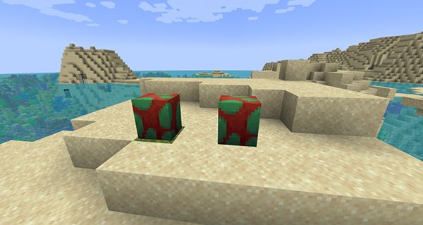 我的世界基岩版正版