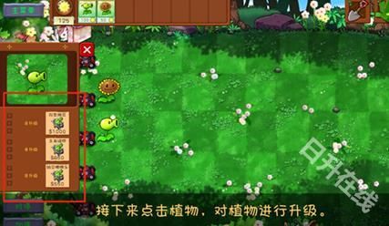 植物大战僵尸共生版