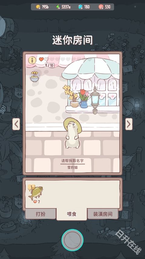 猫咪和汤国际版