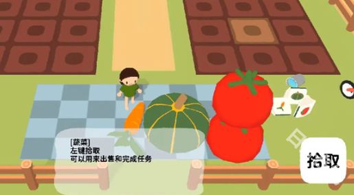 舒舒服服小岛时光