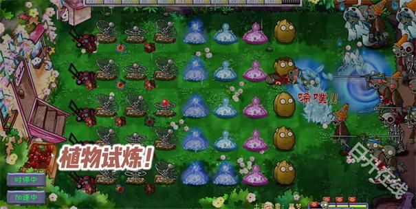 植物大战僵尸共生版手机版
