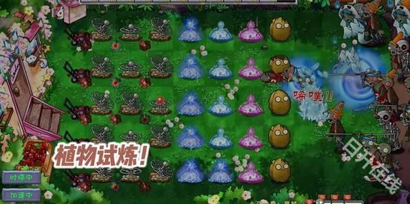 植物大战僵尸共生版