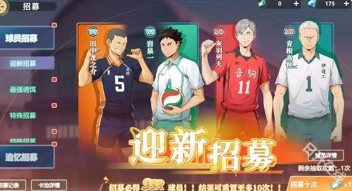 排球少年新的征程