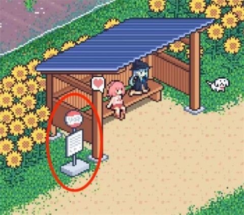 寻找夏日的宝物